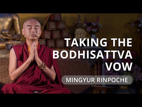 What is the Bodhisattva Vow? — Mingyur Rinpoche