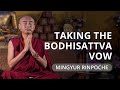 What is the Bodhisattva Vow? — Mingyur Rinpoche