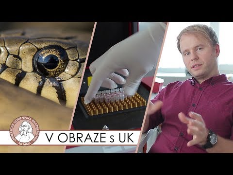 Nový druh hada - V OBRAZE s Univerzitou Komenského