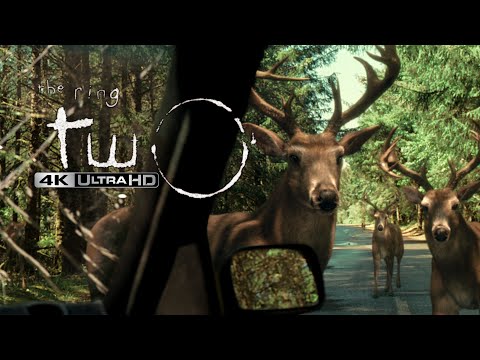 The Ring Two - Deer Attack! | 4K HDR | High-Def Digest