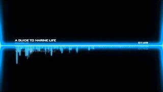 Song Pick of the Week: Falling Up - A Guide to Marine Life