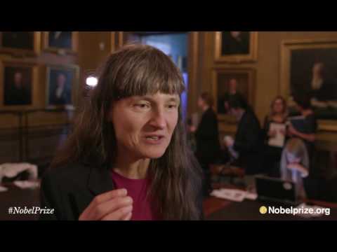 "They are so small you can't see them." Interview about the 2016 Nobel Prize in Chemistry