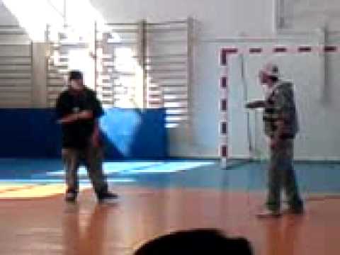 vizante si sob la zilele liceului titulescu