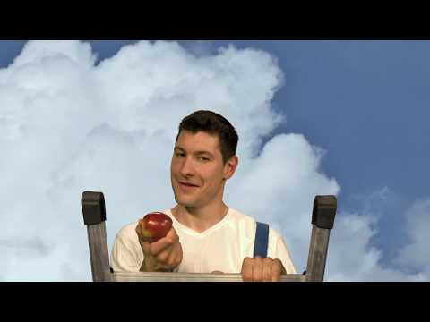 euroline Leitern - Alu Vario Klappleiter (TV Spot) #euroline