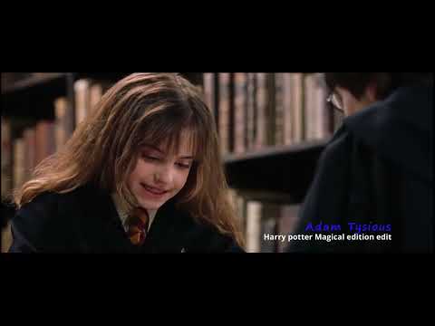 Sorcerer's Stone vs Philosopher's Stone all differences