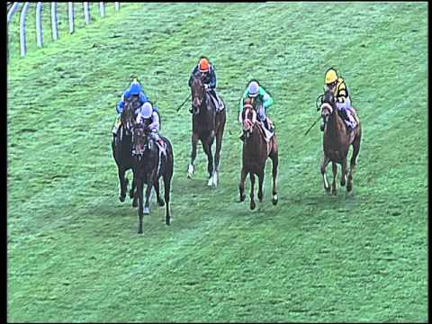 Galoppo 23/02/2016 - 5° corsa