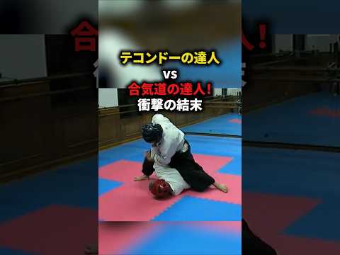 テコンドーの達人VS合気道の達人！衝撃の結末 #格闘技