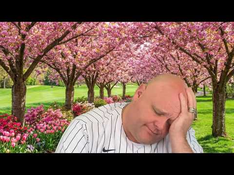 A decision for crypto is Rice paper thin