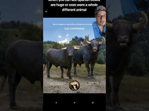 Cows have a beastly ancestry