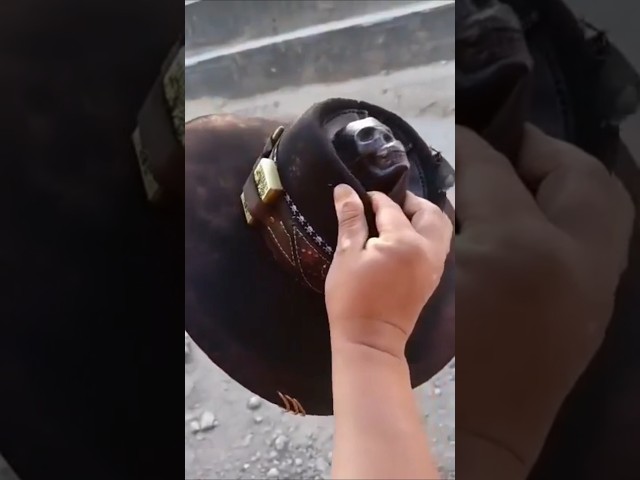 Vídeo relacionado con Gorro : Calavera/Regalo Motero/Regalos Biker/Gorras de Hombre y Mujer/Gorros Invierno/Gorra de Lana/Boina niña niño/Boinas Trabajo/Beanie/Sombrero/Heavy Metal/Skull