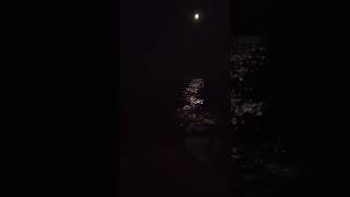 Download lagu STORY WA. Iwan Fals - Yang Terlupakan (cover by egha de latoya) mp3