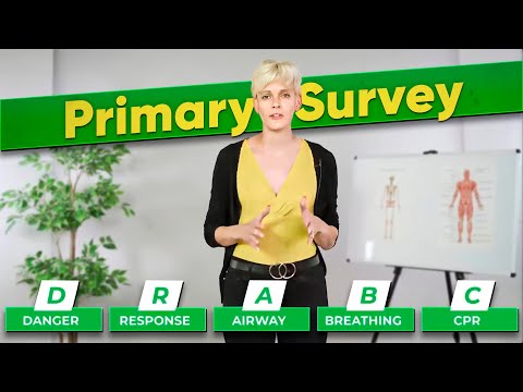 Primary Survey - First Aid Training