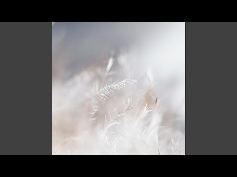 Motive X Promiscuous