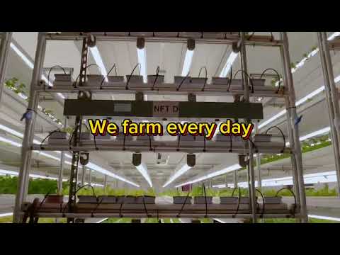 FROM FARM TO WINDOW thumbnail