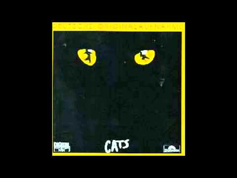 Wie spricht man eine Katze an cover