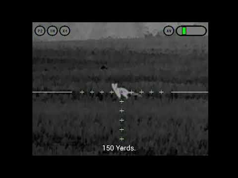 Thermal Hunting: A double for the .22 Hornet and T-Ceptor PRO 55-6