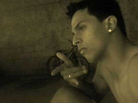 Forma de expressão-não abraça que mo bica