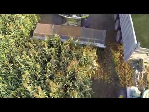 MPD SORGO CLAAS 970 2