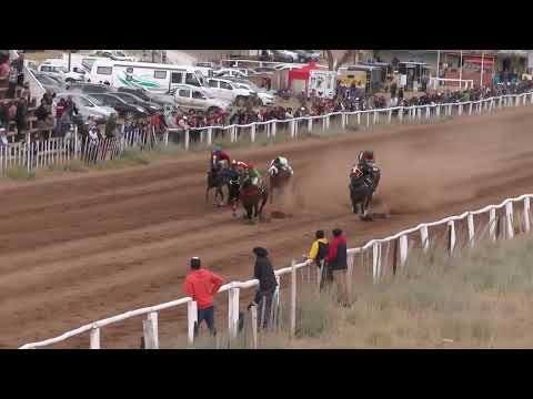 QUE TORITO  Club Hipico "Viento Sur" - Cutral Co    19-03-2023