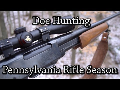 Pennsylvania Rifle Season Doe Hunt 2017