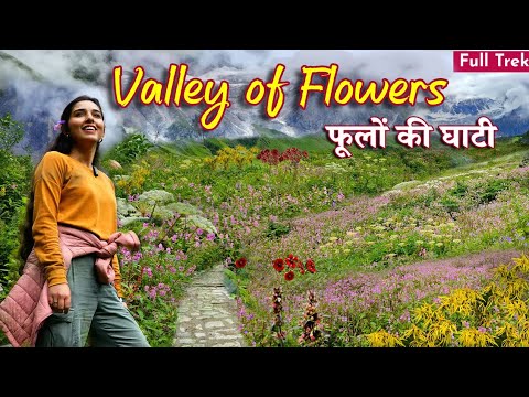 Valley of Flowers Uttarakhand Trek | Valley Of Flowers National Park | फूलों की घाटी | Hemkund Sahib