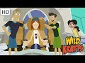 Wilk Kratts  - Honouring The Wild Kratts Team | Videos For Kids
