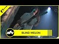 Blind Melon- Skinned | Live @ Metro