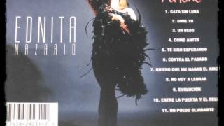 Gata Sin Luna Lyrics English Translation