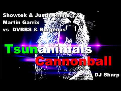 Showtek & Justin Prime Vs Martin Garrix Vs DVBBS & Borgeous   Tsunanimals Cannonball DJ Sharp