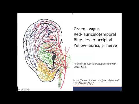 Auricular Acupuncture