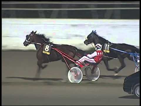 Trotto 23/11/2014 - 8° corsa