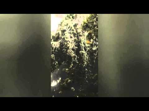 Vrancea Media: Imagini spectaculoase la Ojdula