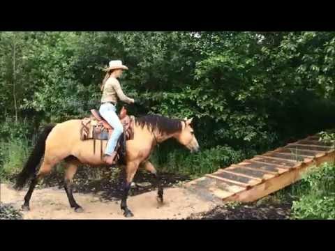 Extreme Trail Pauwels - Juni 2016