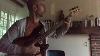 Infectious Groove&#39;s &quot;These Freaks Are Here to Party&quot; / Bass Solo Cover