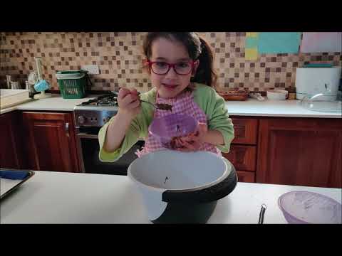 Gluten Free and Sugar Free Chocolate Cookies