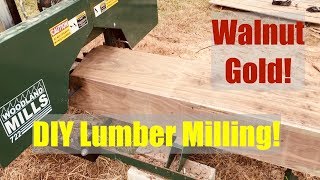 Walnut Gold | Rough Sawn lumber for Woodworking DIY