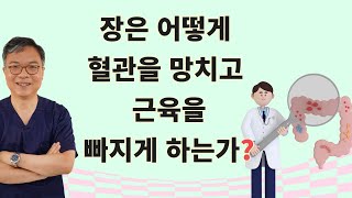 왜 장이 나쁘면 혈관이 약해지고 근육이 빠지는가? 혈관 근육을 지키기 위한 박민수 박사의 장 보호 영양 전략
