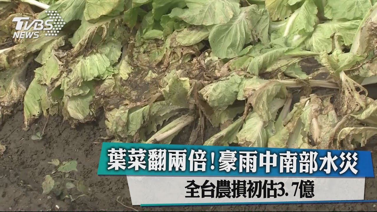 葉菜翻2倍!豪雨中南部水災 全台農損初估3.7億
