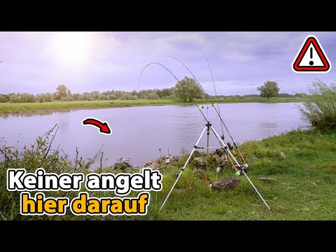 What lives in the strongest river current? (Untouched fish bite every second)