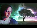 Kollimalai Saralile Without BGM SwarnalathaHits SwarnalathaRareSnggjkfriends9