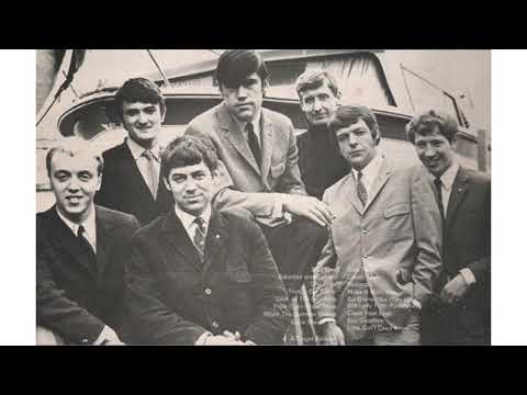 Freshmen - You've Never Heard Anything Like It