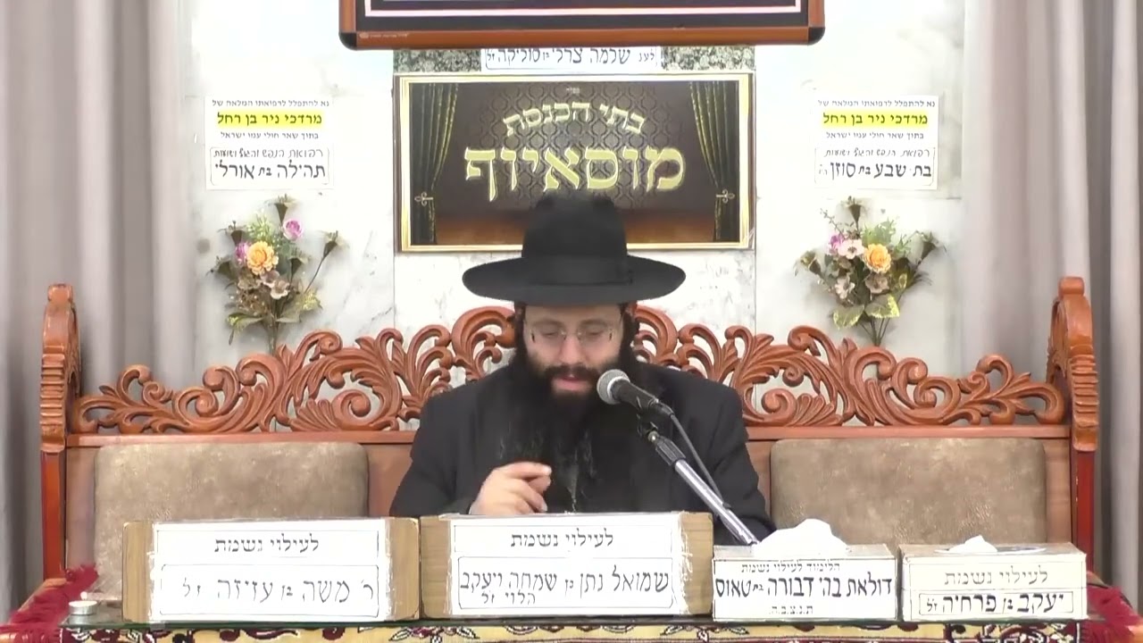 מעלת ימי השובבים | מוסאיוף |