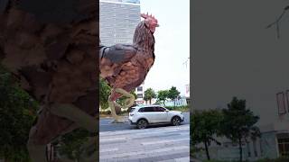 Download lagu wow!! such a BIG chicken ๐๐ #shorts #short mp3 Download lagu wow!! such a BIG chicken ๐๐ #shorts #short mp3
