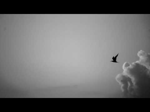 Zurdo & Selecto Picasso - FUERTES (Prod. Fulston) [Audio Oficial]