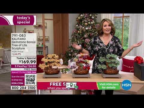 HSN | Designer Gallery with Colleen Lopez Jewelry Gifts 11.29.2022 - 02 PM