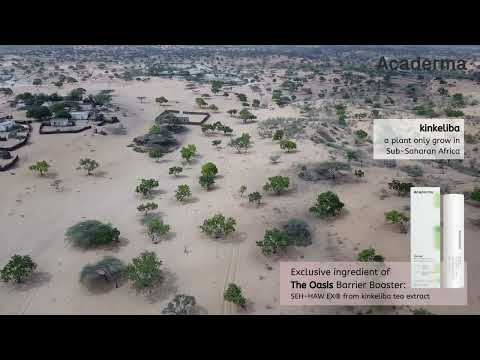 Kinkeliba, the Africa Super Herbal Tea. Acaderma: From farm, Through Lab, To Bottle.