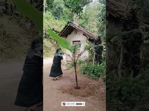 “This Seems Impossible… But It Actually Happened!” #funny #comedy #shorts #shortvideo