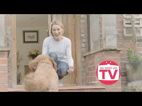 Barking Mad - Glasgow, Falkirk and Stirling video.