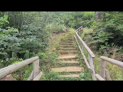 Traseu Piatra Pinului Gura Humorului Bucovina România