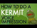 “How To Do A Kermit Voice Impression” - Voice Breakdown Ep. 5 - Muppet Series 4